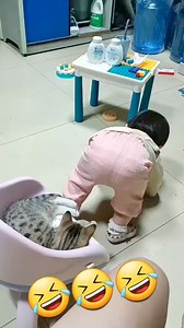 325K views · 2.9K reactions | Cute baby funny video ❤ Please follow me Nauman Khan Everyone 爐  Beautiful #cutebaby #cute #cutebabygirl #cutebabyboy #cutebabyvideos #cutebabyfunny #cutebabygirlchallenge #cutebabies #cuteboyreels #cutebabychallenge #cutebabymonkey #cutenessoverload #cutebabyviral #cutebabyvideo #cutechallenge | Nauman Khan | Facebook