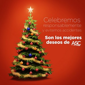 17K views · 22 reactions | #Promo | En esta Navidad, ¡celebremos de forma segura!李 ASC Tu Compulsorio nos ofrece estos consejos de seguridad vial para evitar accidentes y disfrutar responsablemente. #ConsejoASC | Metro Puerto Rico | Facebook