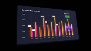Finance Statistic Infographic Chart Report