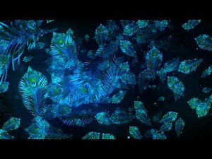 VJ LOOPS 2021- Free Video background Loops || Floral Shiny Wedding Mandala Art Free VJ Loops