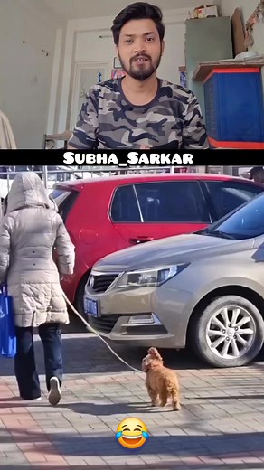 10K reactions · 672 shares | সেরা  কিন্তু ❤️। . . . #dogreels #petlovers #comedyreels #funnyreels #doglover | Subha Sarkar | Facebook