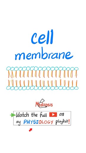 Cell Membrane - lipid-bilayer - Biology and Physiology...#nclex #usmle #ap #science #chemistry