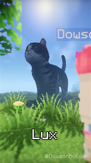 Which Shaders is the Best Part # 16