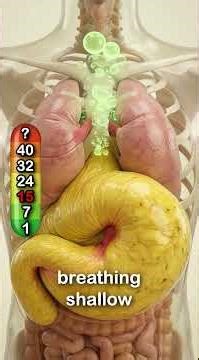 How Many Bananas Can YOU Survive?🍌☠️