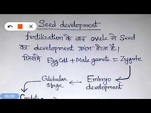 Seed development (hindi)