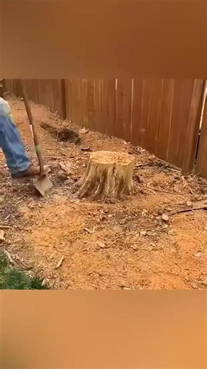 He uprooted a large stump using only a hand winch _discoveries _knowledge _engineering #hashtagfbreelsvideo | Contraction Tricks