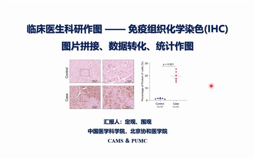 临床医生科研作图——13.IHC图片拼接、数据转化、统计作图