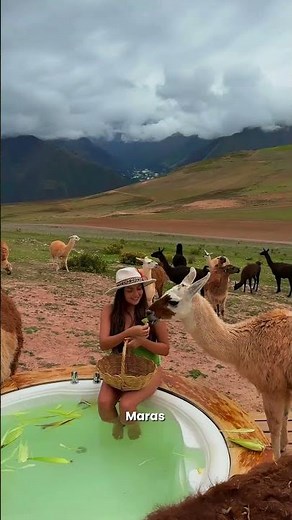 Spectacular Peru 10 days: the complete itinerary through Peru 🇵🇪