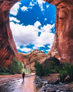 546K views · 1.8K reactions | URGENT ACTION ALERT: Trump just opened Grand Staircase-Escalante National Monument to destructive drilling and mining! Thousands of people have already signed this petition to help us save this irreplaceable landscape, but we need 237 additional people to take action before 11:59 p.m. tonight – and we’re missing your name! Sign the petition to tell Congress: Protect our public lands! | Friends of the Earth U.S. | Facebook