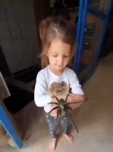 25K views · 162 reactions | #Watch | Little Girl Fearlessly Plays With Huge Spiders, Leaves Internet Shocked Video Courtesy - @_BestVideos ( Twitter ) #kid #viralvideo #viral #spider #eastnews | East News | Facebook