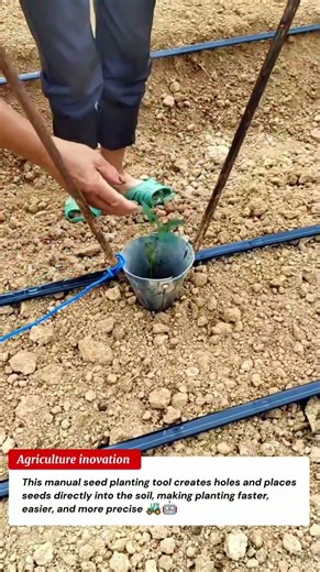 Genius DIY Planting Tool 🌱 | Fastest Way to Make Perfect Holes