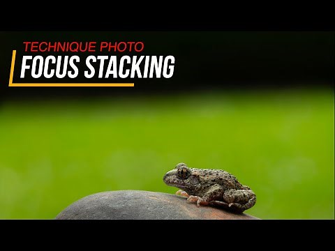 Le Focus Stacking ! Gagnez en netteté sur vos photos - Technique photo très utile en macro.