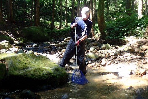 【初心者向け】河川の魚捕り「ガサガサ」とは？基本的な方法と道具をまとめました！