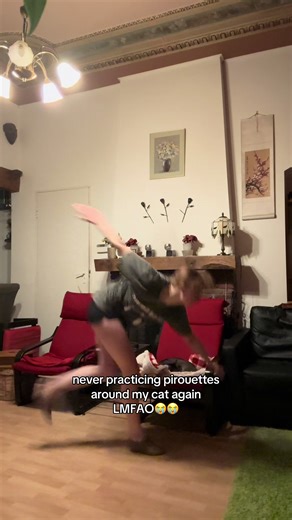 Hilarious Dance Fails with Cats