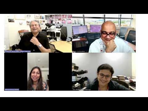 Ibex Prostate AI: A Practical Demonstratio