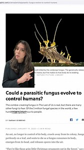 Could a Parasitic Fungus Evolve to Control Humans?