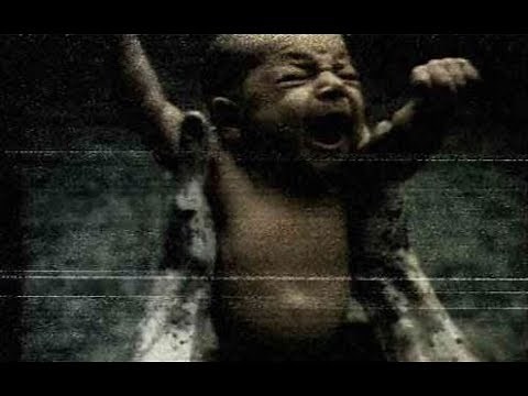 Video De La Deep Web Real Que Despues De Verlo Te Sientes Muy Mal ( The Grifter )