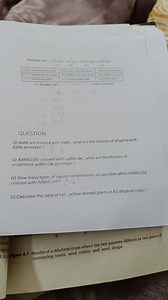 QUESTIONQ) AaBb are crossed with AaBb , what are the chances o... | Filo