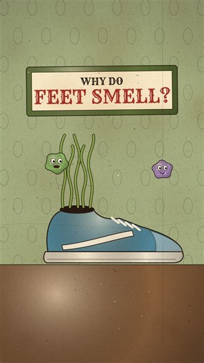 Why Do Feet Smell?