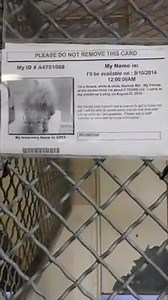 55 reactions · 151 shares | This beautiful girl has what seems like...