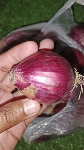 Relaxing Plastic Rustling & Crisp Onion Peels • ASMR 🧅 No Talking | Ultra-Realistic | ASMR4USA