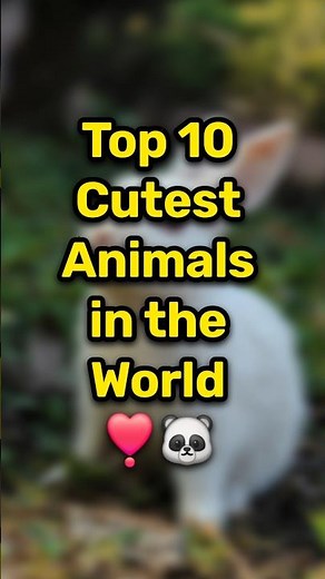 Top 10 Cutest Animals in the World 🐼💖 | You Can’t Stop Smiling 😍