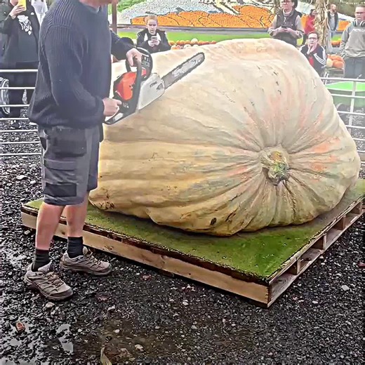 Daily Facts That Will Surprise You