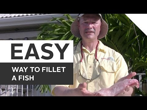 How to Fillet a Fish the Easy Way