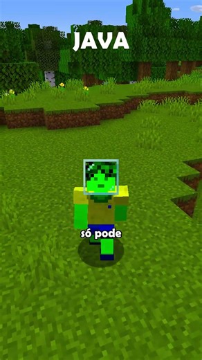 Minecraft Java vs Bedrock Pt.11