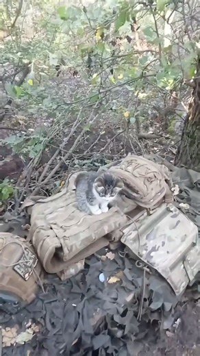 Guardian of the Gear. | In Ukraine