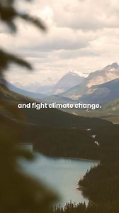 220K views · 4.9K reactions | Reducing methane emissions is one of the fastest, most cost-effective ways to cut pollution, fight climate change, and strengthen Canada’s economic competitiveness. Today, we introduced new measures to reduce those emissions across the country with made-in-Canada solutions. | Mark Carney | Facebook