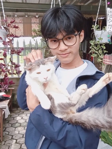 Hi, I'm Sho and this is my cat Niya! Dimana arrietty? #ghibli #arrietty #sho #cosplay #studioghibli