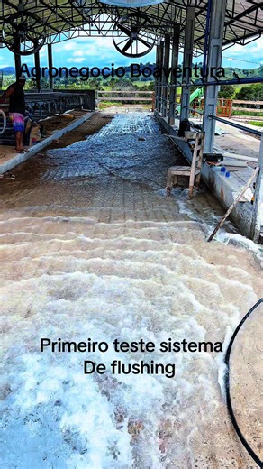Teste Sistema de Flushing em Free Stall