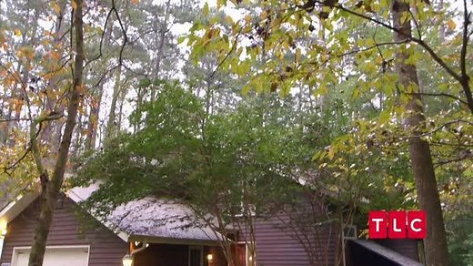 14K views · 168 reactions | Frank is NERVOUS for this paint reveal! See his new assistant, and the winner of Training Spaces, on #TradingSpaces TONIGHT at 8/7c! | Trading Spaces | Facebook