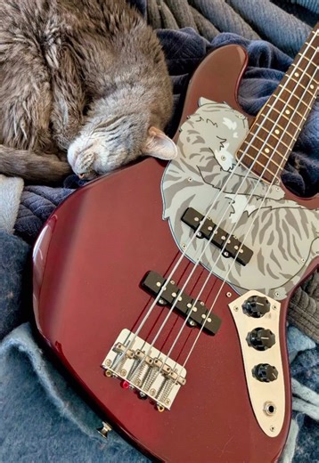 Custom Jazz Bass Pickguards Designed for Your Style