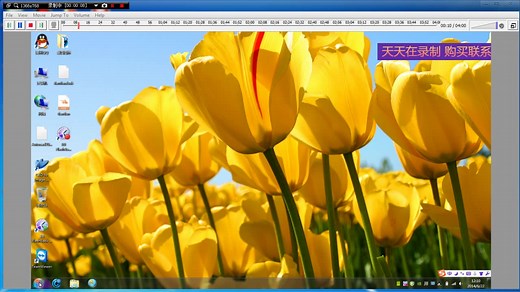 WYSIWYG视频教学 （天天版本）