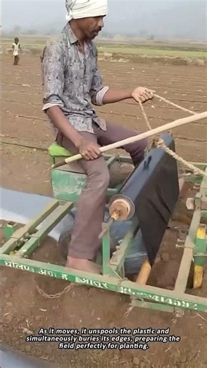 An Animal-Powered Machine for Laying Plastic Mulch Film