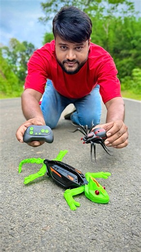 Black Rc Makdee Vs Rechargeable Rc Wall Crawler Gecko Lizard🦎