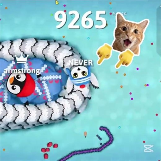 Sanek io video #gaming