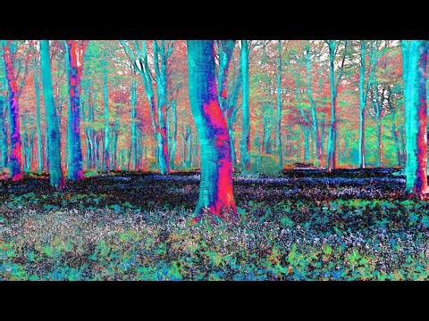 Every Mind Altering Substance I've Ever Tried