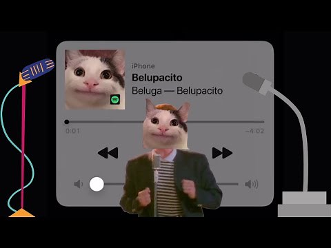 Beluga Creates Belu-roll (Belupacito)