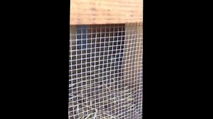 1.7K views · 35 reactions | Its so fun for us here at Flora's to see the Farm through the eyes of kids. It inspires us! | Flora Farms | Facebook