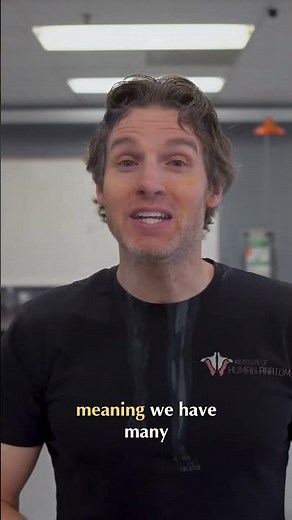 Your Body's Secret: Trillions of Microbes Explained! #shorts