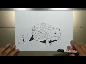 How to draw BULLFROG in 5 minutes