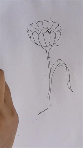 🌸 Beautiful Flower Drawing with Color Pencils | Easy Step by Step 🌸