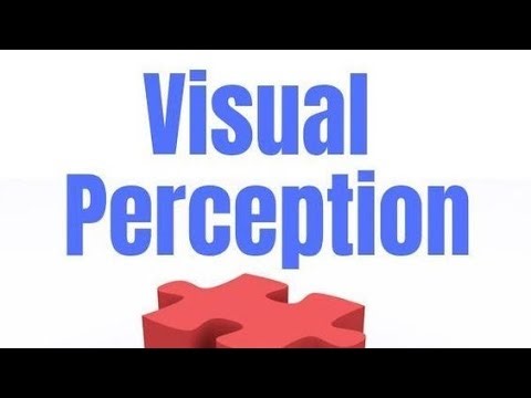 Why visual perception is important for kids?