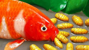 🤩🤩🤩Stop Motion ASMR - Catfish, Golden Carp Unique Eel Trap With Pupa Worms Cooking Primitive🤩🤩🤩 | Funny Stop Motion Cooking