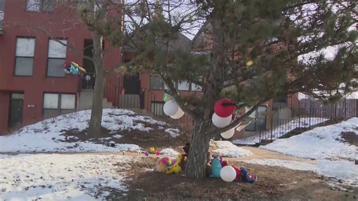 Round Lake Beach community shaken up by death of 8-year-old boy, mother and boyfriend charged with murder