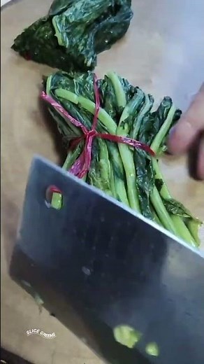 UA44445 mini rotary tillage and ridging all one cutting 🌲 salad #shorts #vrial #trending #subscribe"