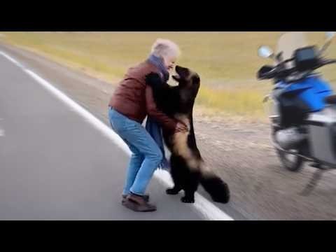 This Video Will Remind You What Real Love Feels Like